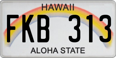 HI license plate FKB313