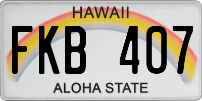 HI license plate FKB407