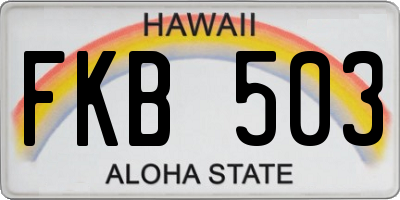 HI license plate FKB503