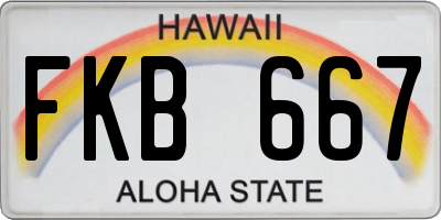 HI license plate FKB667