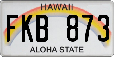 HI license plate FKB873