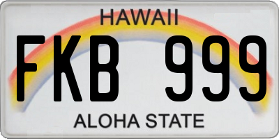 HI license plate FKB999