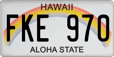 HI license plate FKE970