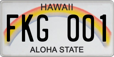 HI license plate FKG001