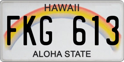 HI license plate FKG613