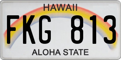 HI license plate FKG813