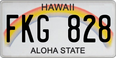 HI license plate FKG828