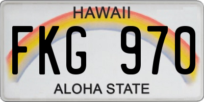 HI license plate FKG970