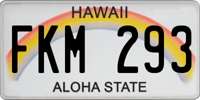 HI license plate FKM293