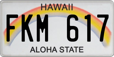 HI license plate FKM617