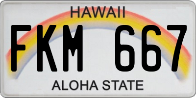 HI license plate FKM667