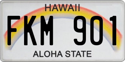 HI license plate FKM901
