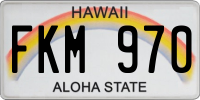HI license plate FKM970
