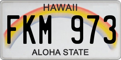 HI license plate FKM973