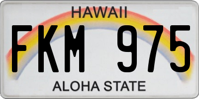 HI license plate FKM975