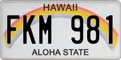 HI license plate FKM981