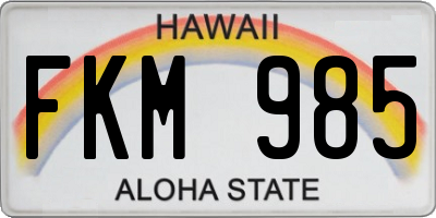 HI license plate FKM985