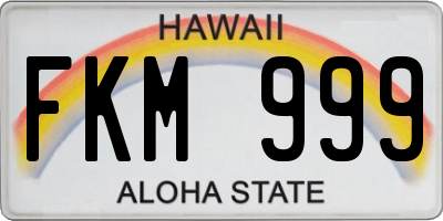 HI license plate FKM999