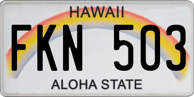HI license plate FKN503