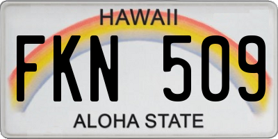 HI license plate FKN509