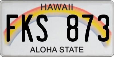 HI license plate FKS873