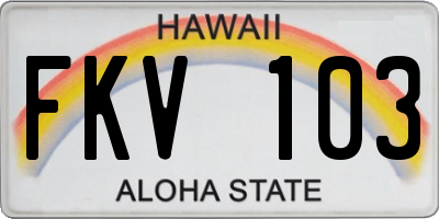HI license plate FKV103