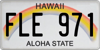 HI license plate FLE971