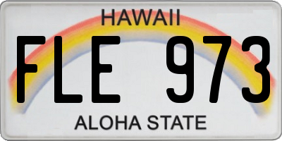 HI license plate FLE973