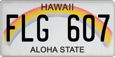 HI license plate FLG607