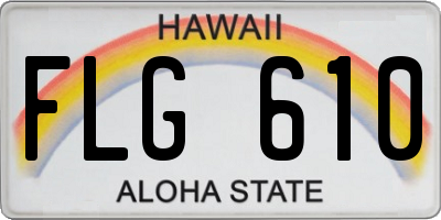 HI license plate FLG610