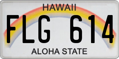 HI license plate FLG614