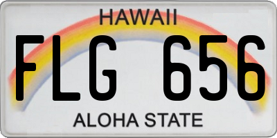 HI license plate FLG656