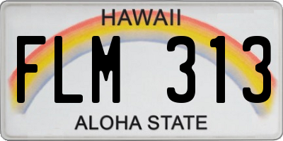 HI license plate FLM313