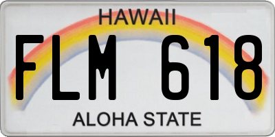 HI license plate FLM618