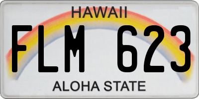 HI license plate FLM623