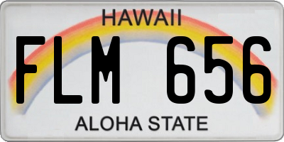 HI license plate FLM656