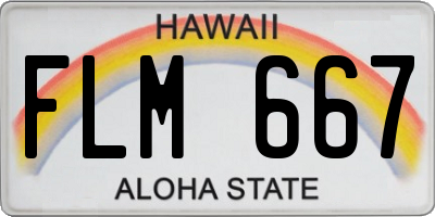 HI license plate FLM667