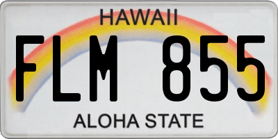 HI license plate FLM855