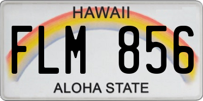 HI license plate FLM856