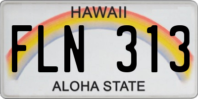HI license plate FLN313