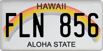 HI license plate FLN856