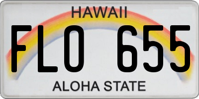HI license plate FLO655