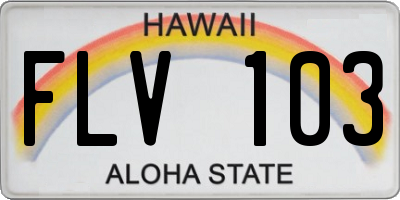 HI license plate FLV103