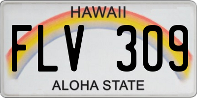 HI license plate FLV309