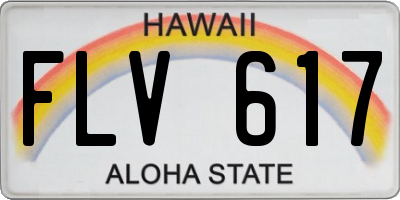 HI license plate FLV617