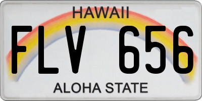 HI license plate FLV656