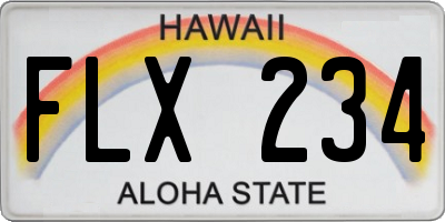 HI license plate FLX234