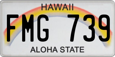 HI license plate FMG739