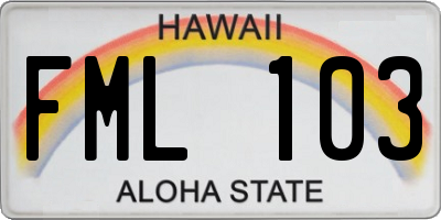 HI license plate FML103