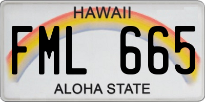 HI license plate FML665